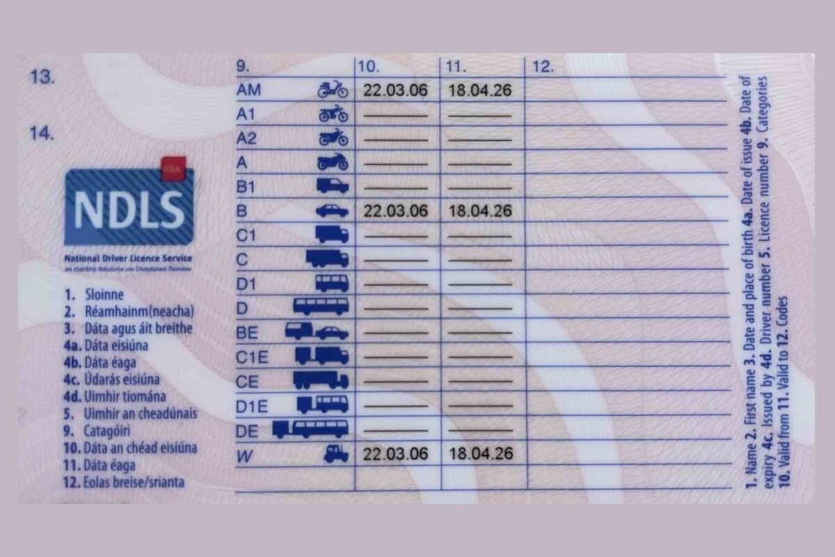 Irish Driving Licence Renewal Online