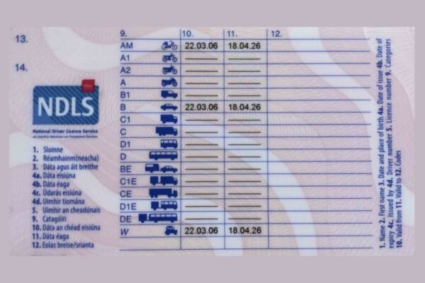Irish Driving Licence Renewal Online