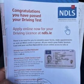 apply for an irish driving licence online